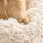 Sierra Stretch & Scratch Cat Tower (139cm) in solid wood