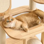 Sierra Stretch & Scratch Cat Tower (139cm) in solid wood