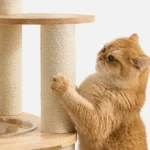 Sierra Stretch & Scratch Cat Tower (139cm) in solid wood