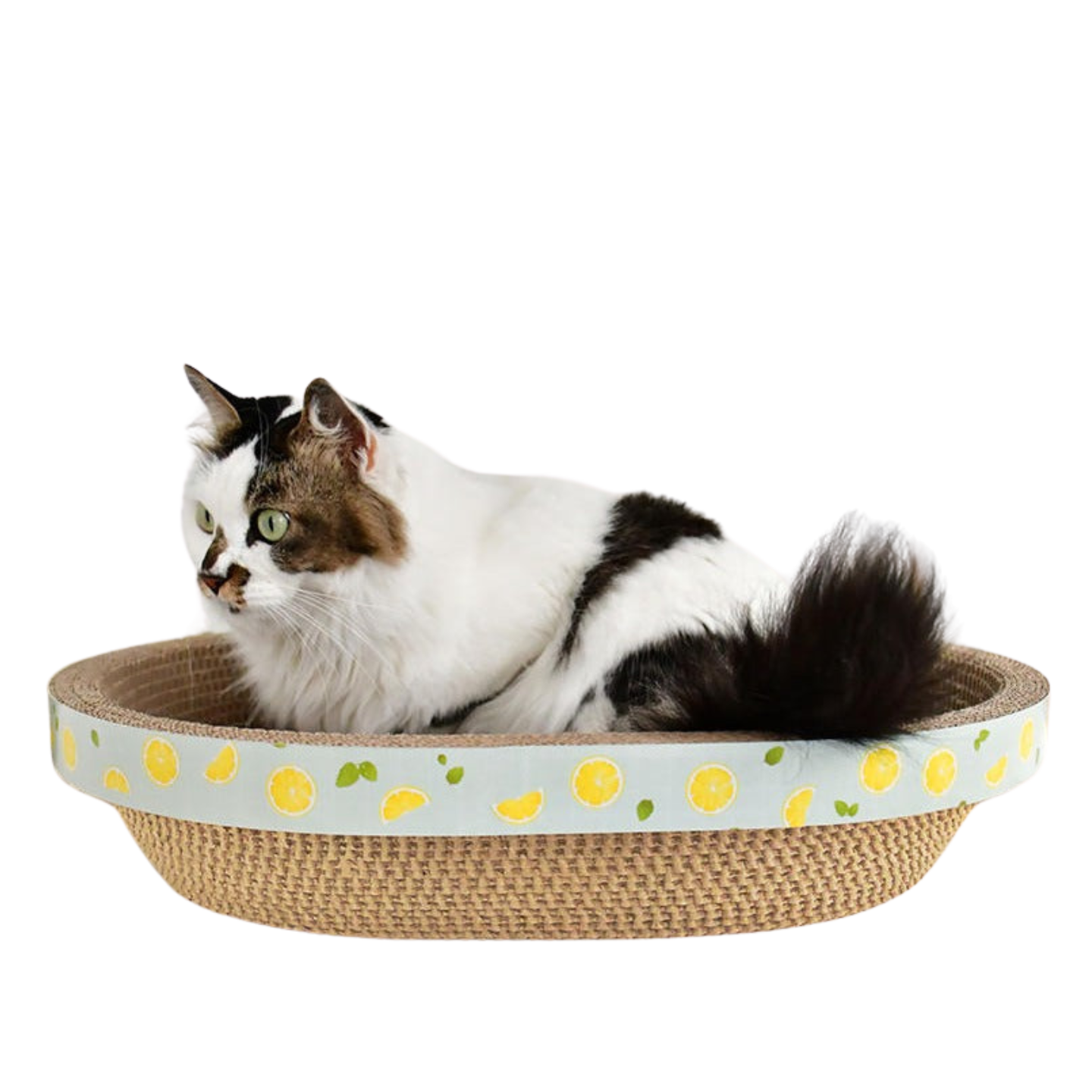 Serene Oval Cat Nesting Scratcher with lemon-themed aesthetic