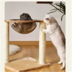 Space Capsule Cat Tree & Climbing Frame for Cats - Image 3