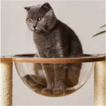 Space Capsule Cat Tree & Climbing Frame for Cats - Image 5