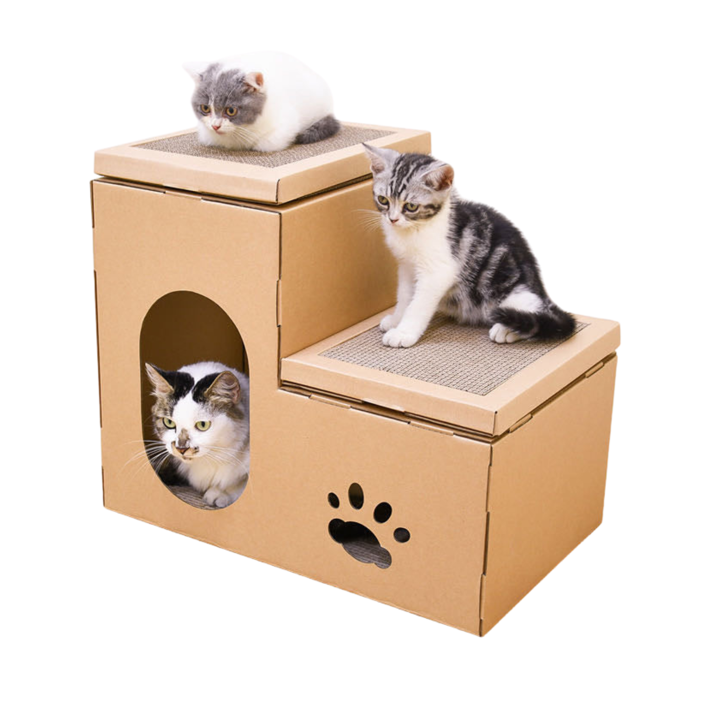 Cat Scratcher Cardboard Condo – Double House & Climbing Station
