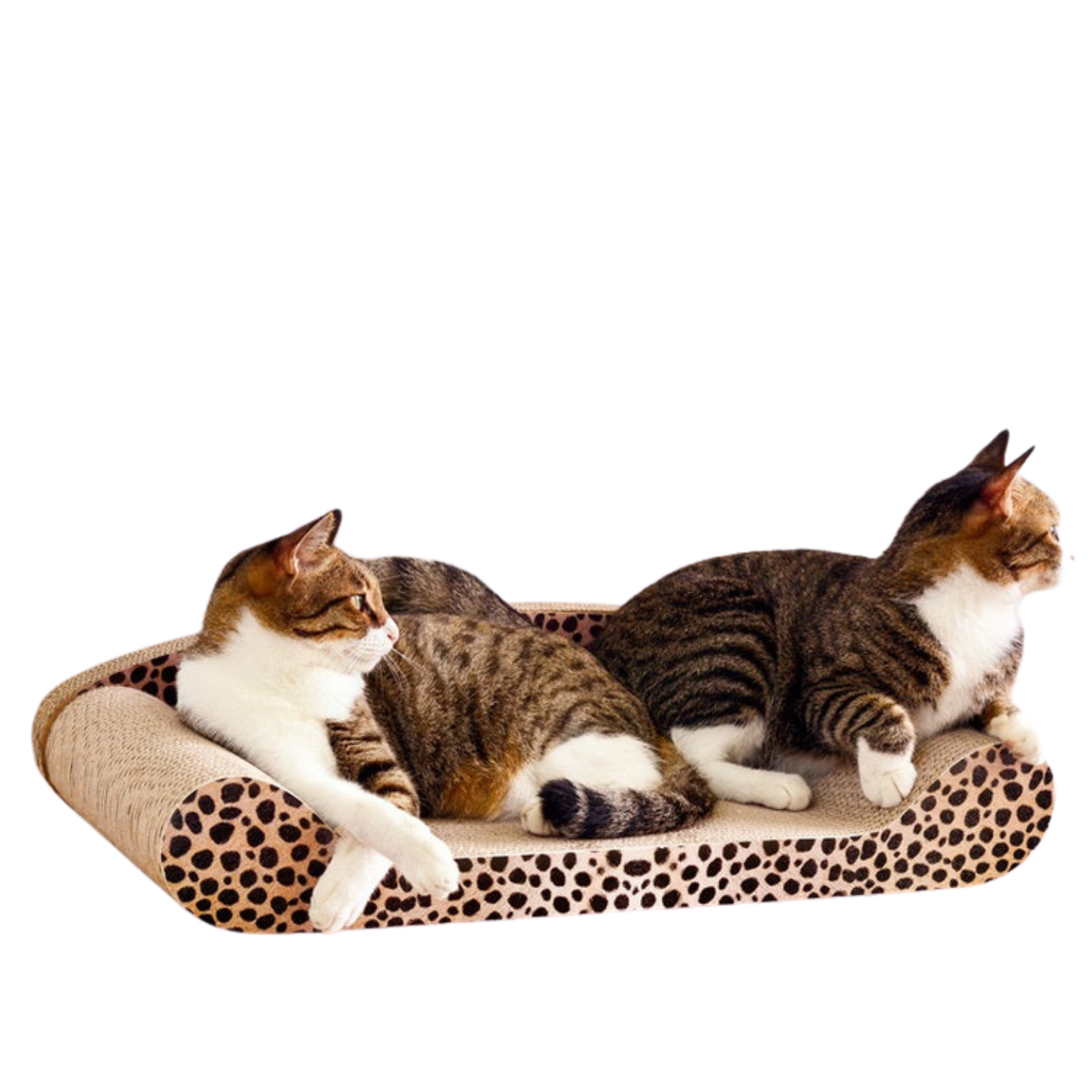 Leopard Cat Scratch Board & Lounger (60cm)