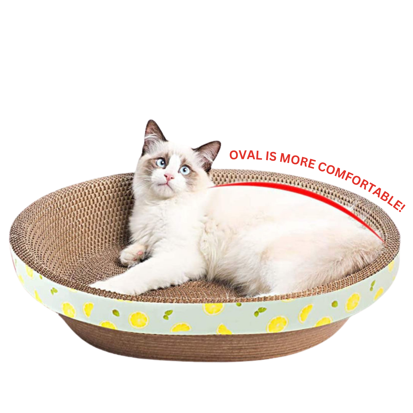 Serene Oval Cat Nesting Scratcher (50cm) with lemon-themed aesthetic