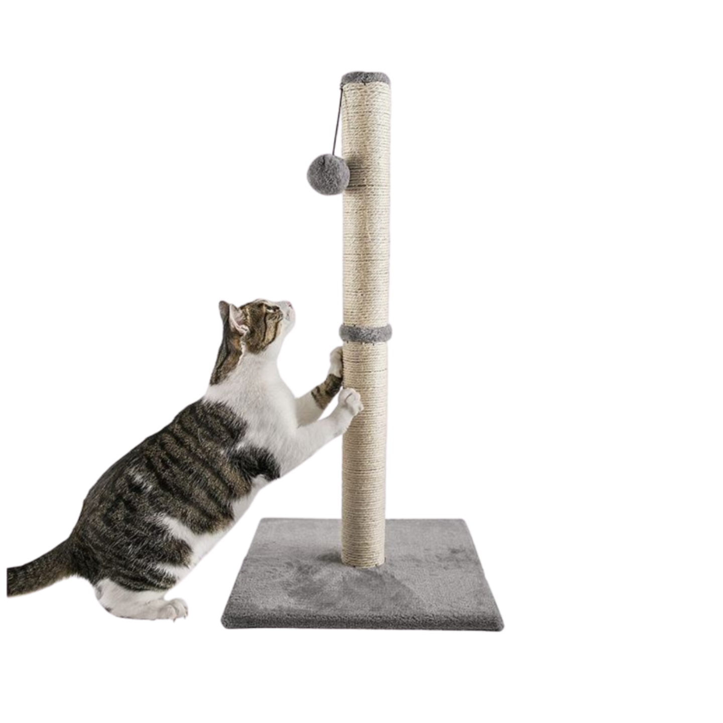 Amaya Cat Scratching Post in Light Grey – Durable Pet Activity Pole (88cm)
