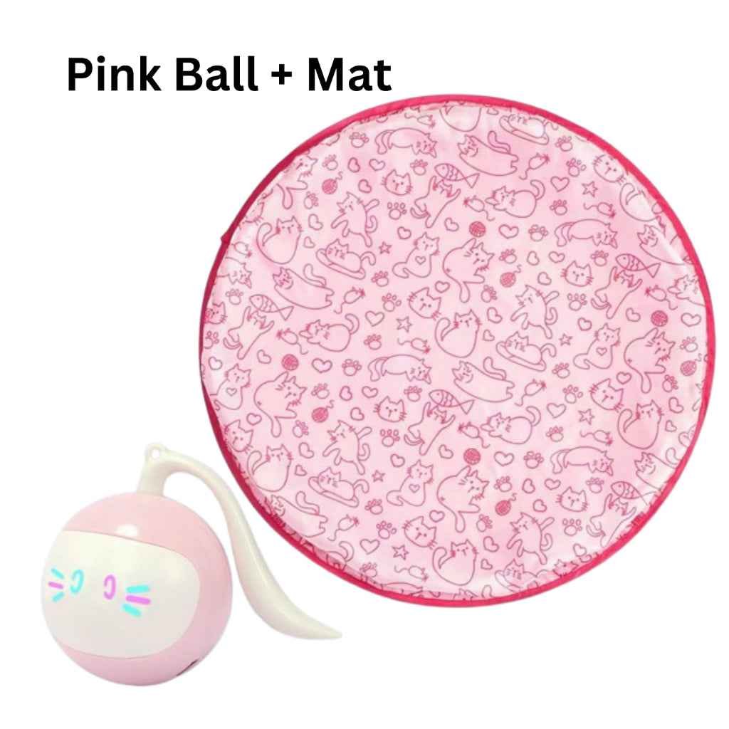 FOFOS 360° Self-Rolling Interactive Cat Ball Toy