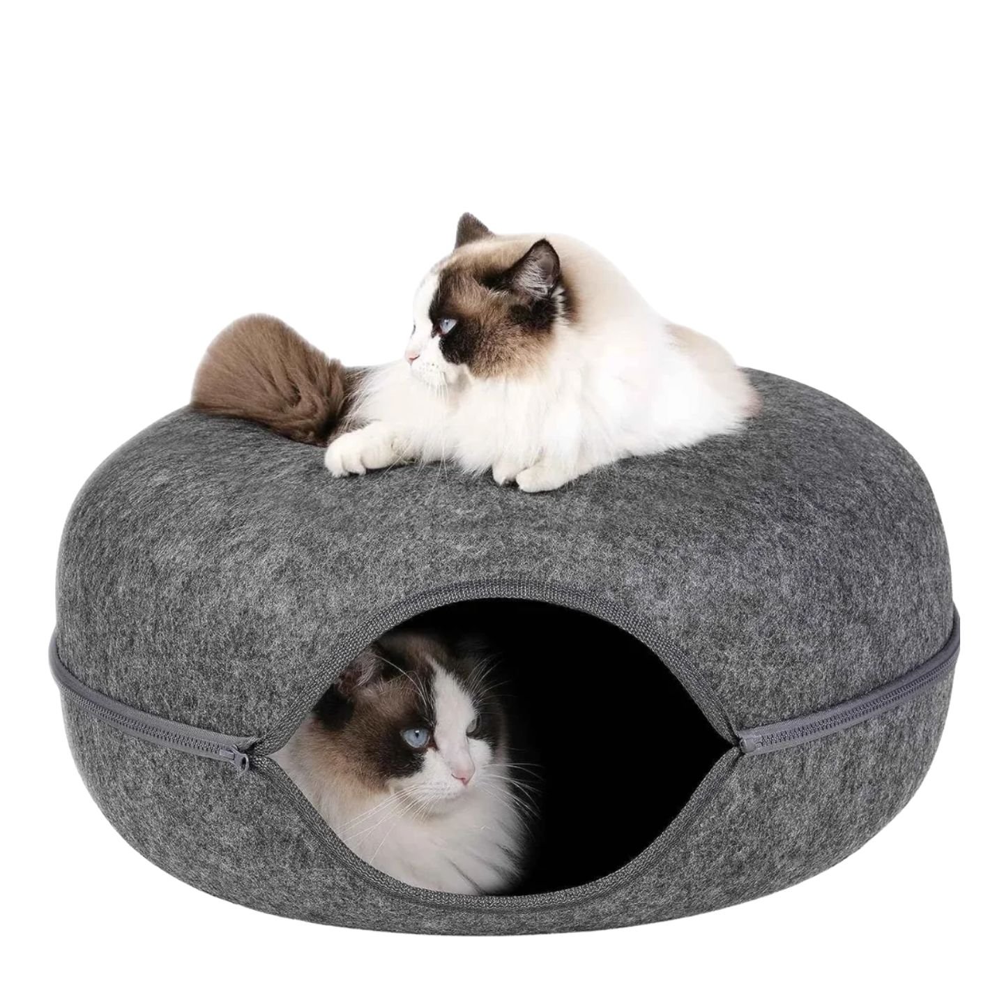 2-in-1 Cat Tunnel & Felt Donut Bed (Dark Grey) in Large 2-in-1 Cat Tunnel & Felt Donut Bed (Dark Grey) in Large