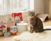Quality Nutrition: The Best Pet Food Brands Available in Singapore
