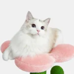 VETRESKA Blooming Cactus (105cm) – Cat Climbing Tree & Scratching Post - Image 6