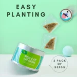 Natural Cat Grass Can – High Nutritional Value Fresh Plant for Cats