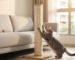 A cat stretching and scratching on a durable sisal scratching posts in a modern HDB living room.